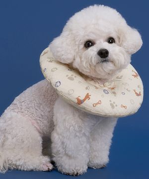 반려동물 목화솜 쿠션 넥카라