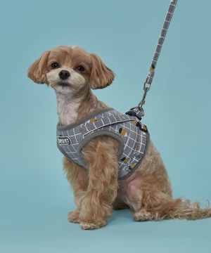 강아지 네모 반사광 하네스 리드줄 세트