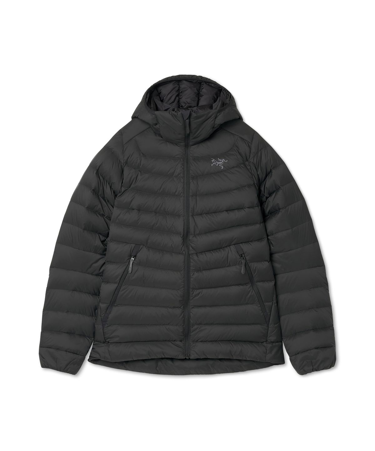 아크테릭스(ARCTERYX) 세륨 후디 여성 - BLACK / AJOFWX9288