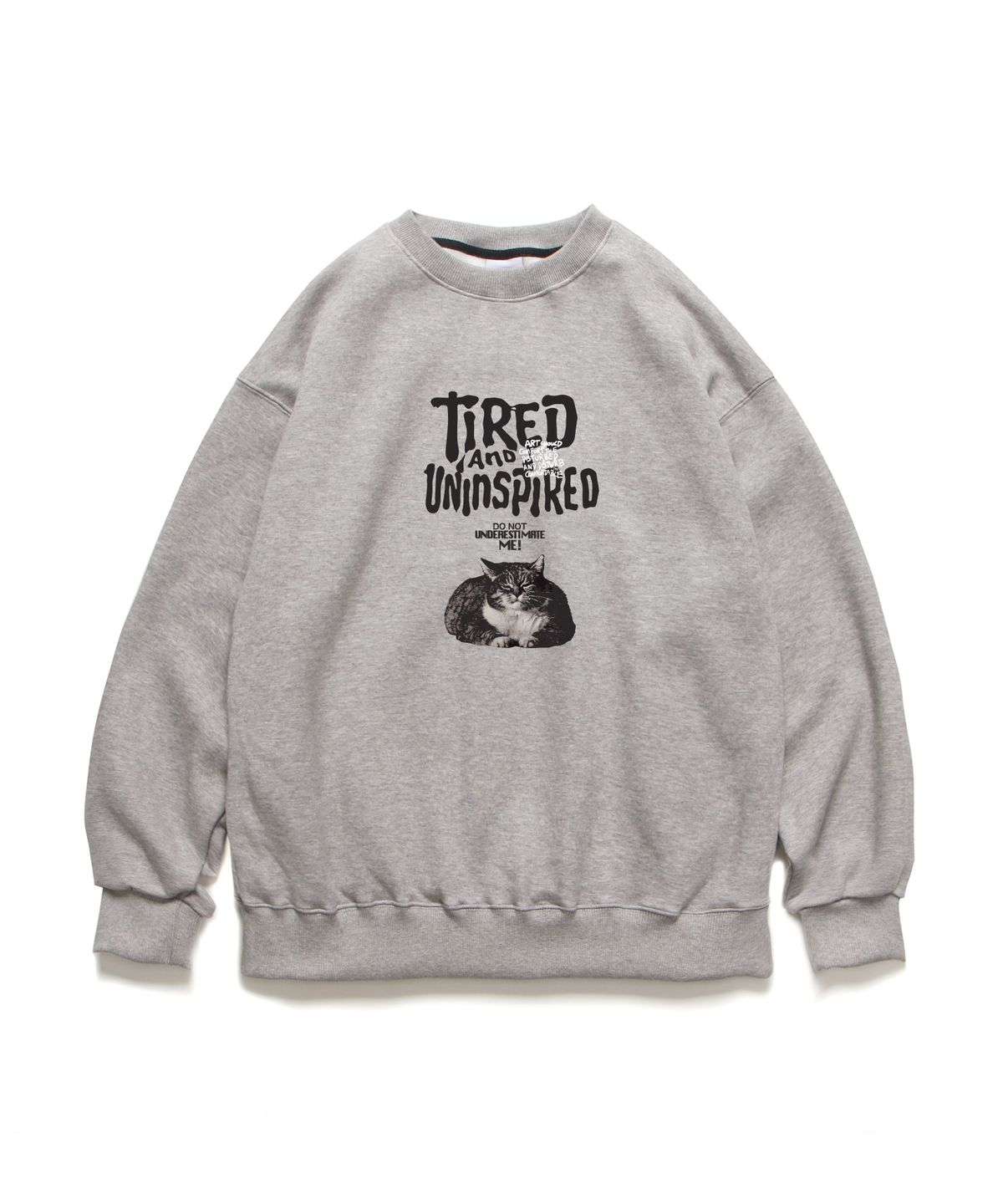 앱놀머씽(ABNORMALTHING) TAU 크루넥 그레이 (TAU CREWNECK GREY)