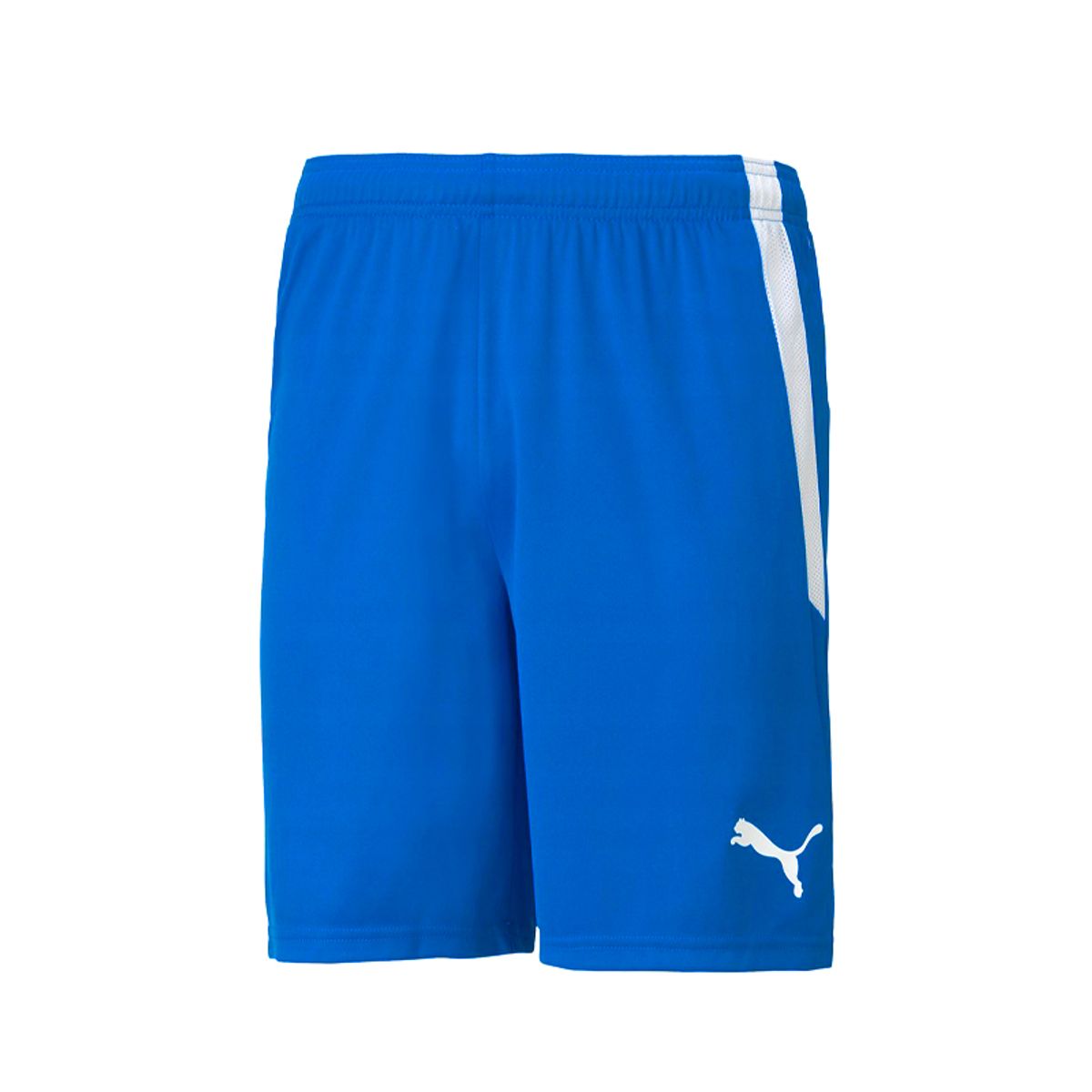 푸마(PUMA) 팀리가 쇼츠(70492402) 반바지