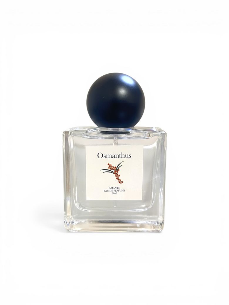 내가 찾던 금목서 향 [Osmanthus]