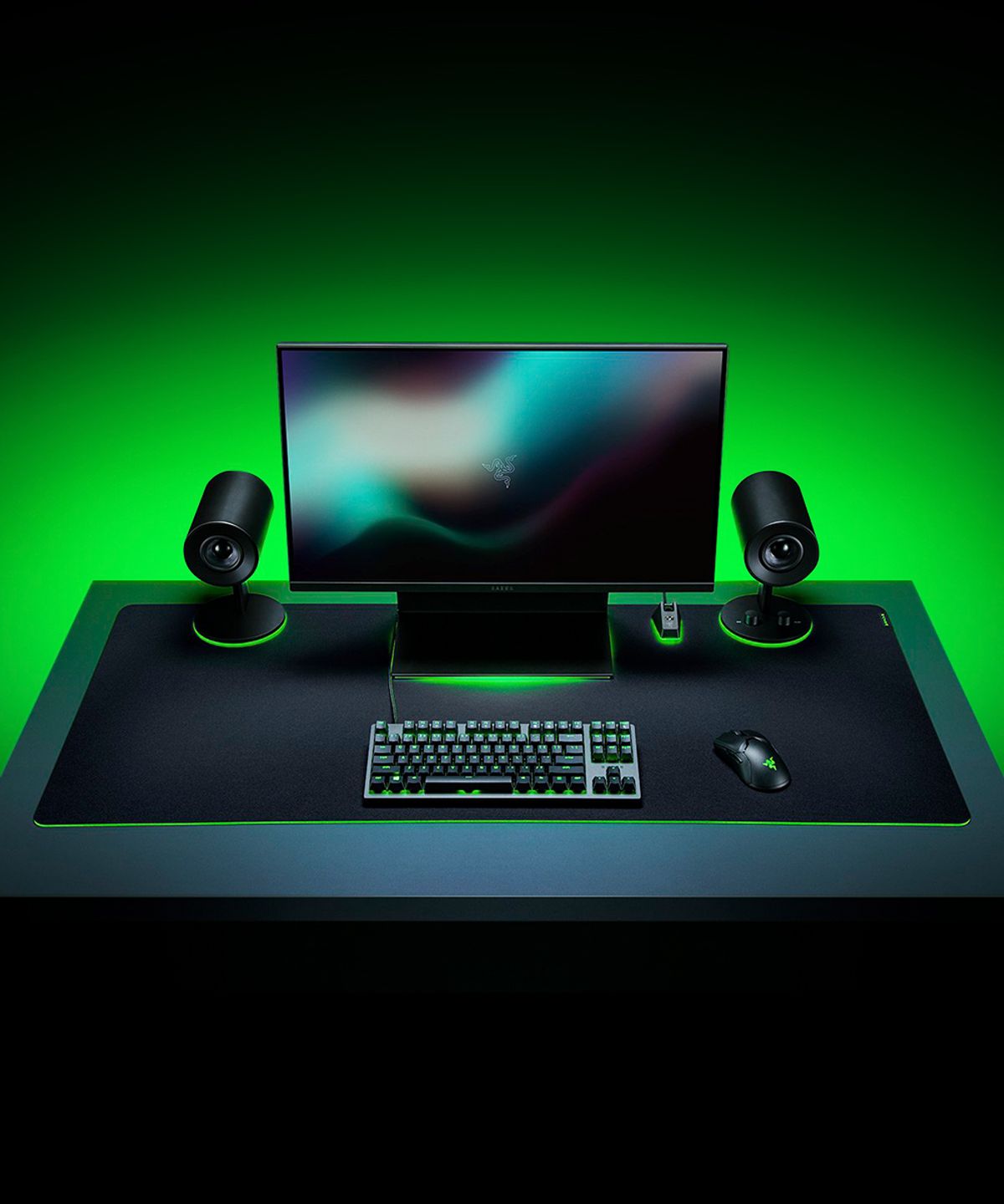 레이저(RAZER) Gigantus V2 3XL 게이밍 마우스패드