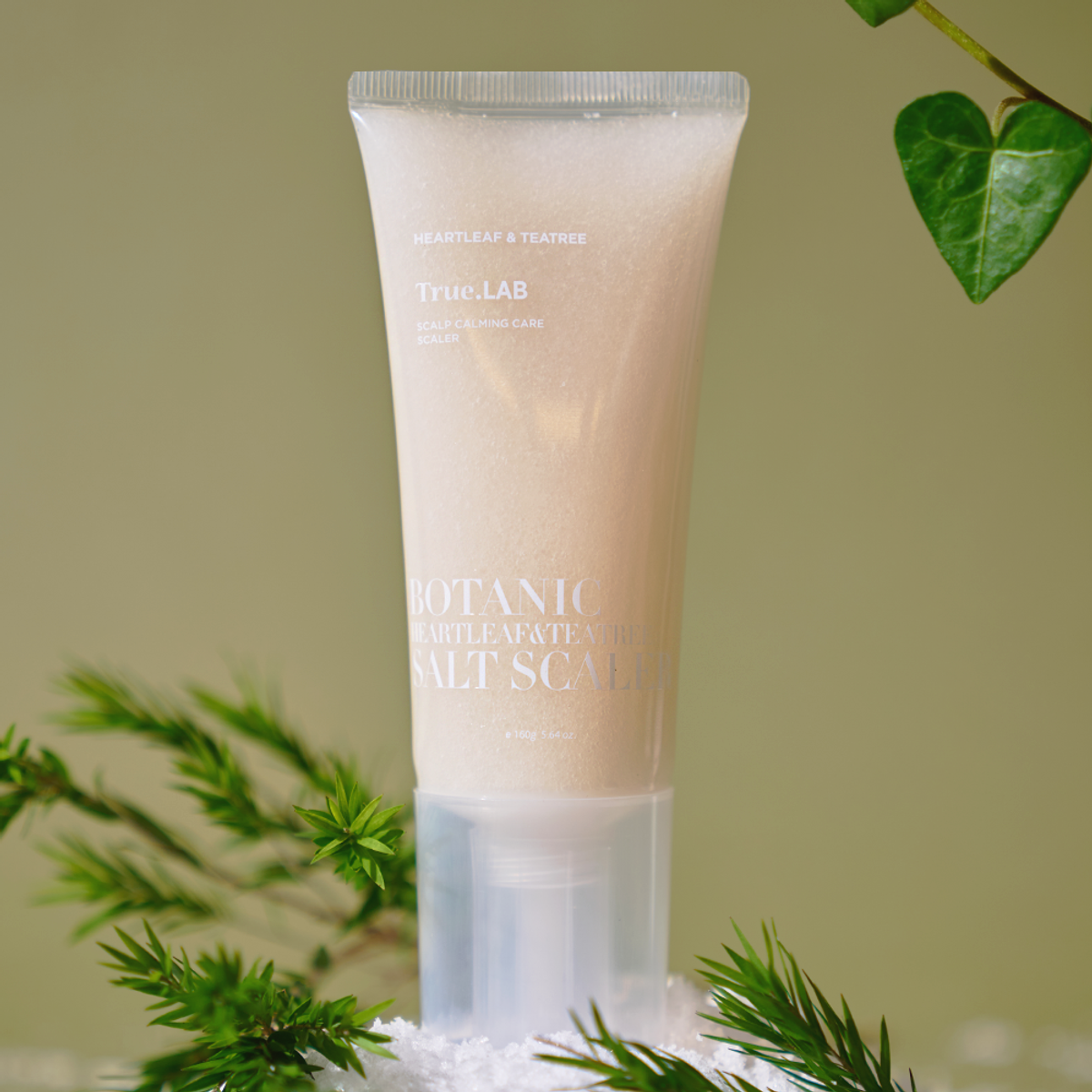 정직한실험실(TRUE LAB) 어성초 티트리 솔트  스케일러 160g