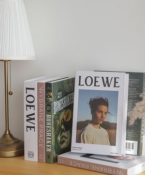 인테리어 가짜 모형책 로에베 3종 세트