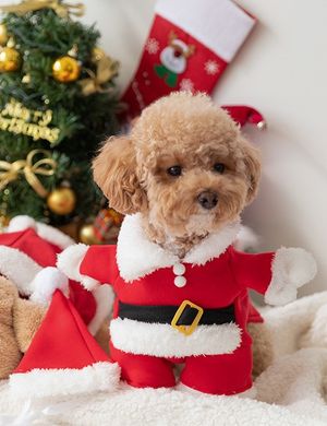크리스마스 반려동물 처키 산타옷 세트 4size