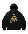 4649049