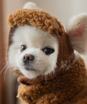 강아지 무스탕모자 브라운