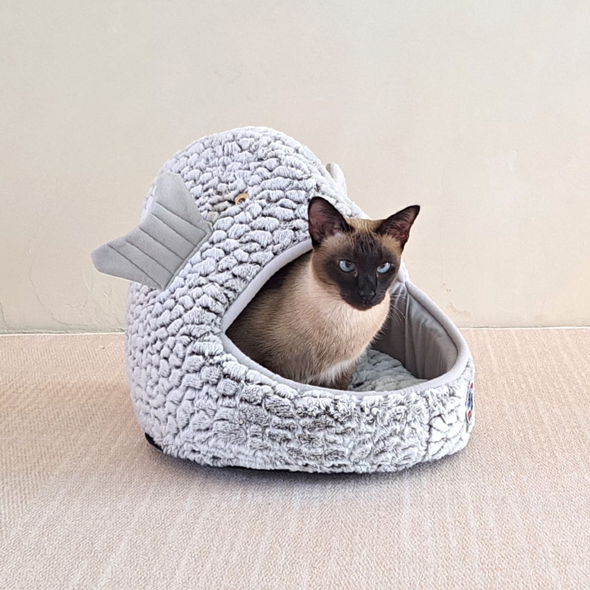 개과천선(GAEKWACHEONSUN) 물고기 숨숨 고양이 하우스