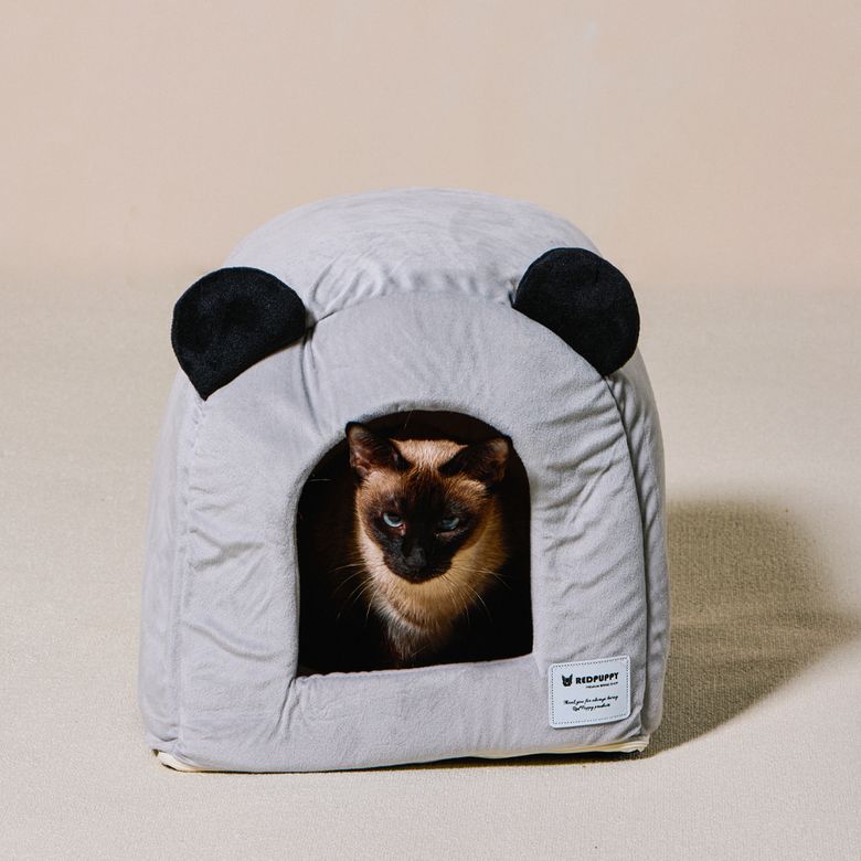 도그돔 고양이 하우스