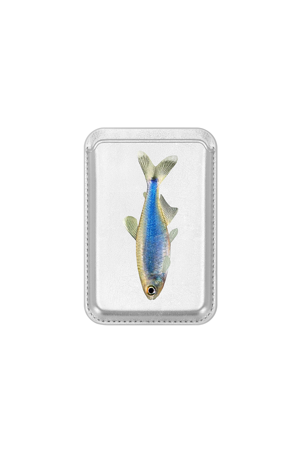 에이치제트 아카이브(ACHIZ ARCHIVE) fish can series 맥세이프