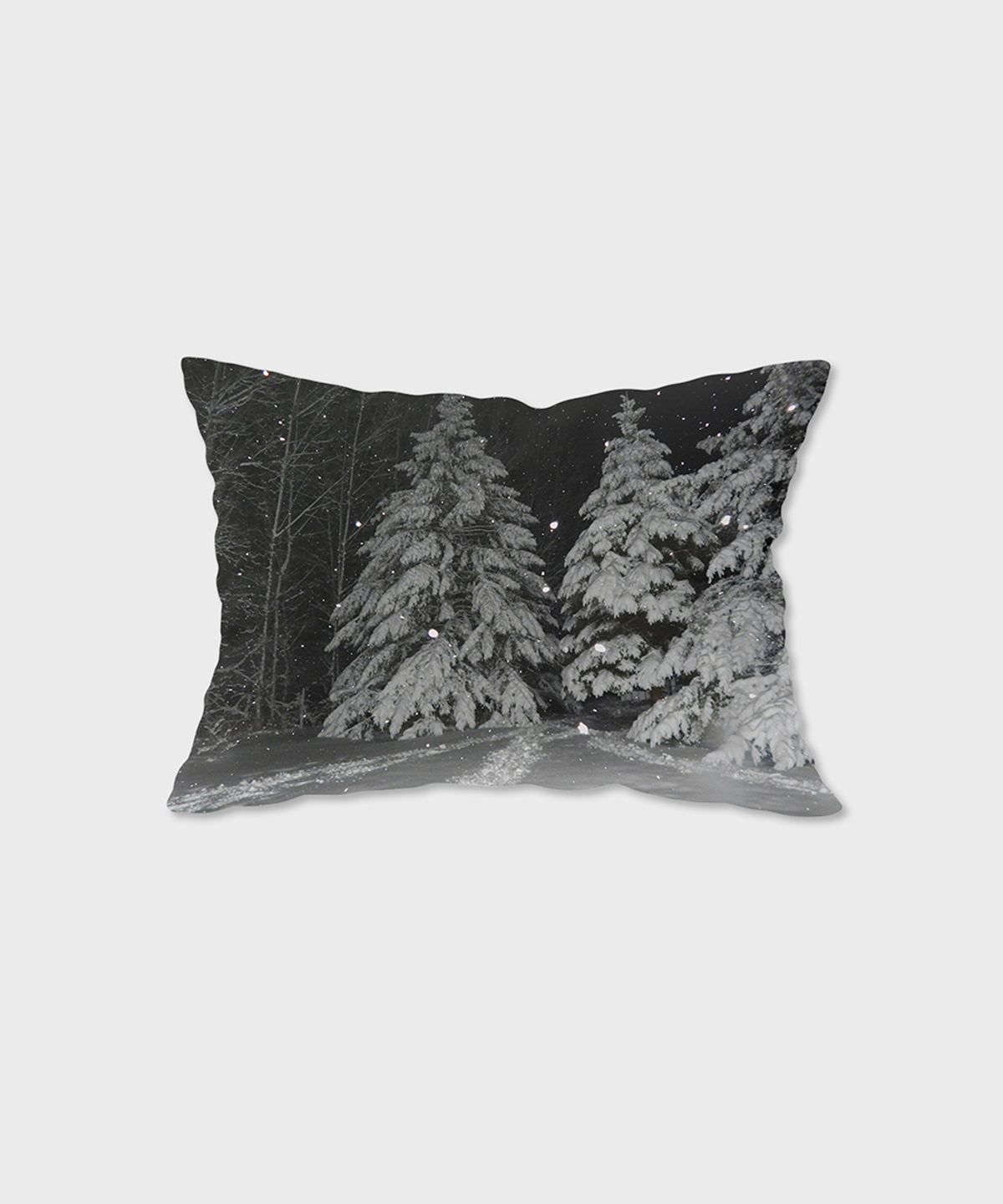 픽켄드(PICKEND) 자연을 담은 포토 디자인 베개커버 - 3 DARK SNOW