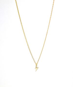 [남여공용] 써지컬스틸 골드번개 데일리 목걸이 / GHMN-478