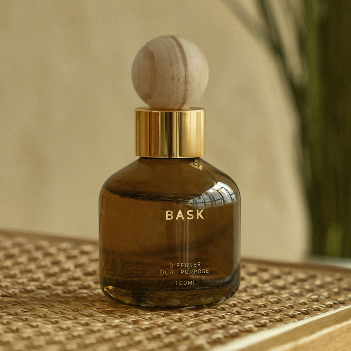 디오바스크(DIOBASK) 실내겸용 방향제 고급 차량용 디퓨저 듀얼퍼포즈 100ml
