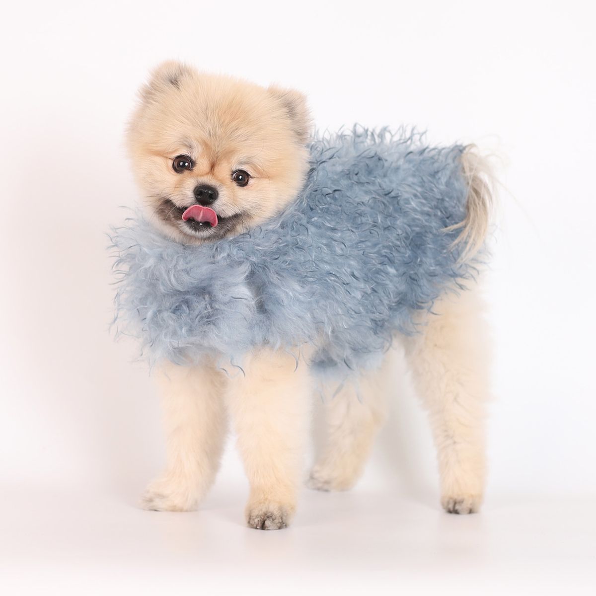 몽루(MONLOUP) 알라스칸