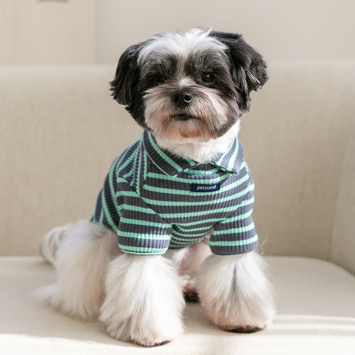 펫츠랜드(PETSLAND) 돌체하이넥티셔츠 차콜  S-2XL