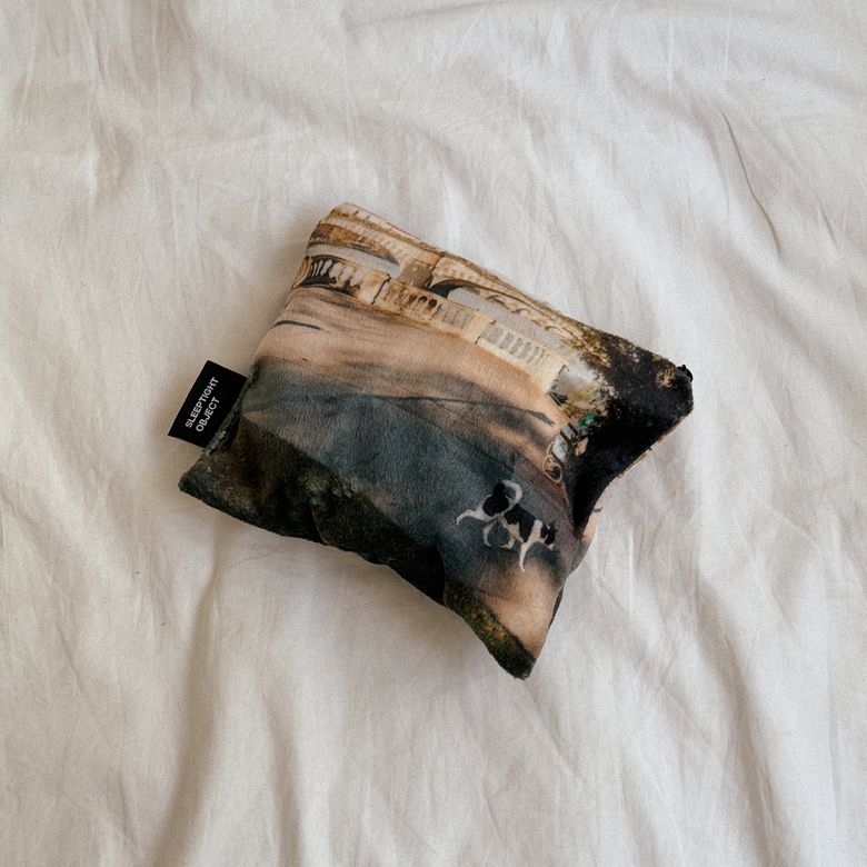 rover park pouch