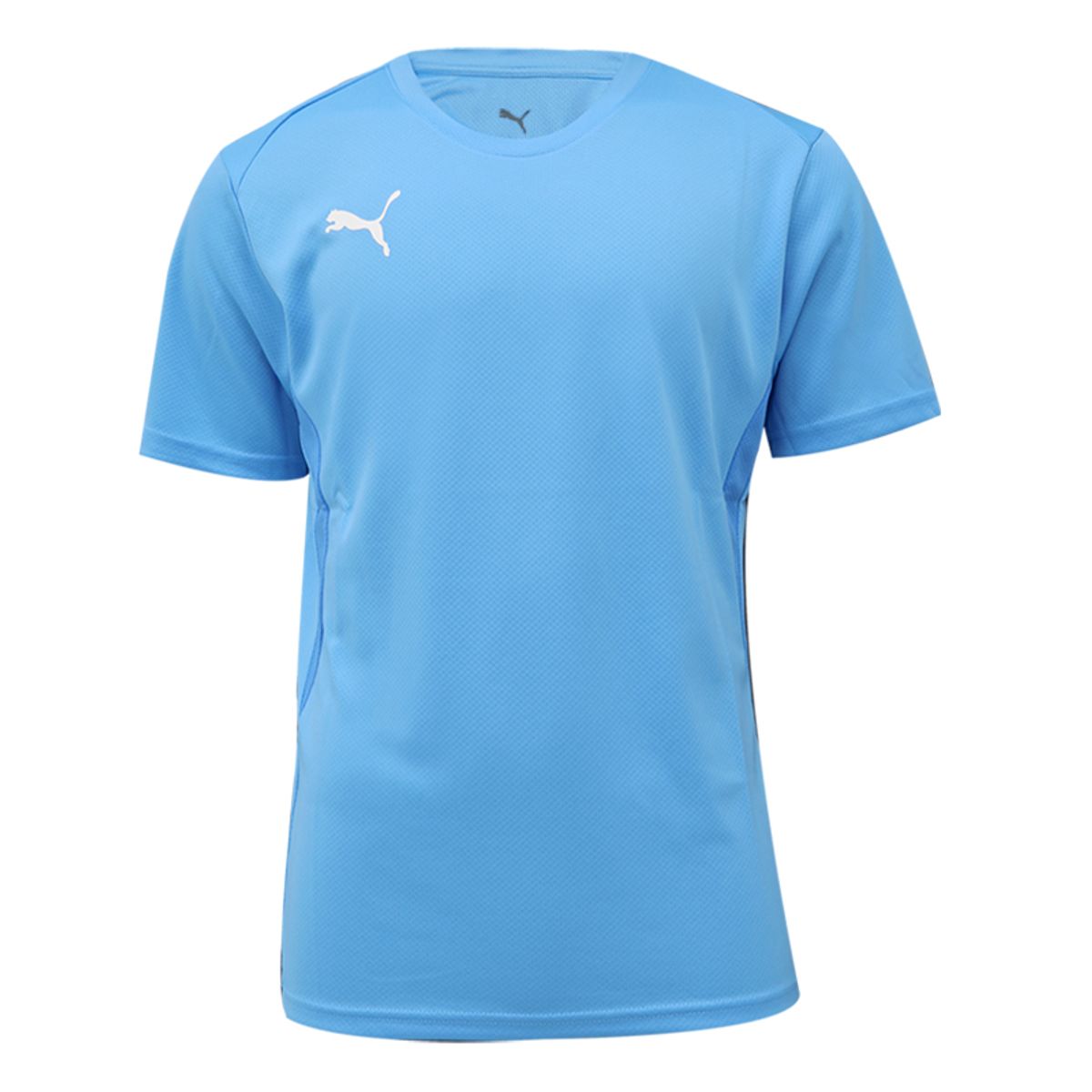 푸마(PUMA) 팀골 저지(65863618)