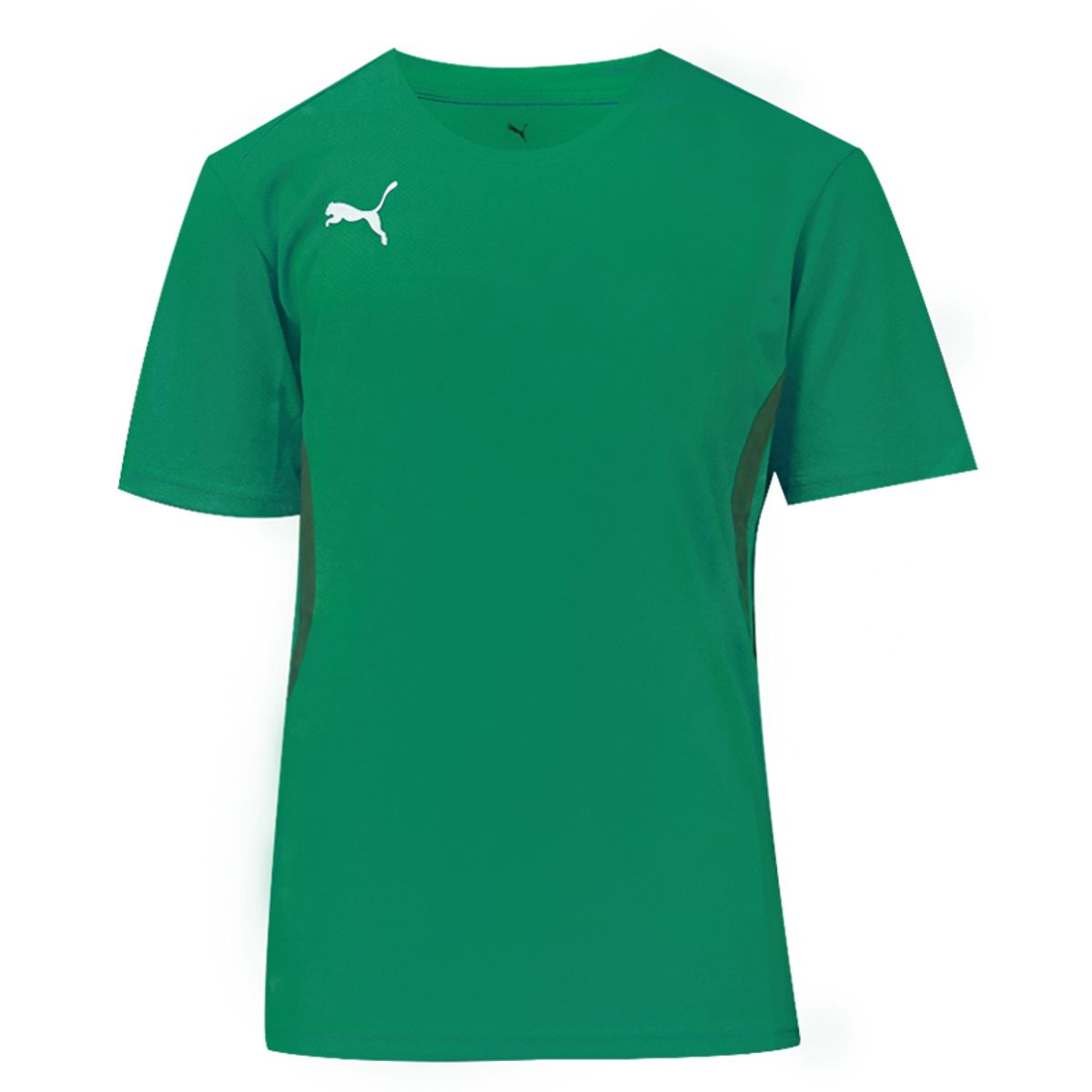 푸마(PUMA) 팀골 저지(65863605)
