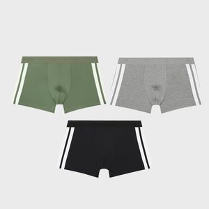 [3PACK] 뉴블랙 데일리 드로즈