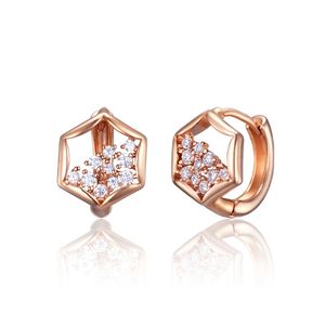 14K GF 육각 큐빅포인트 귀걸이 ELGPEE563