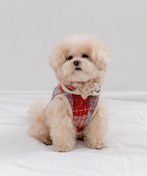 마이 리틀 트위드 판초 - 라즈베리