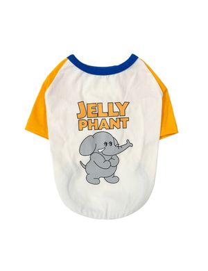 아이코닉 컬러블럭 반팔 : 젤리펀트