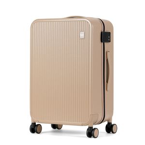 IV-770124 / 24인치 화물용 캐리어