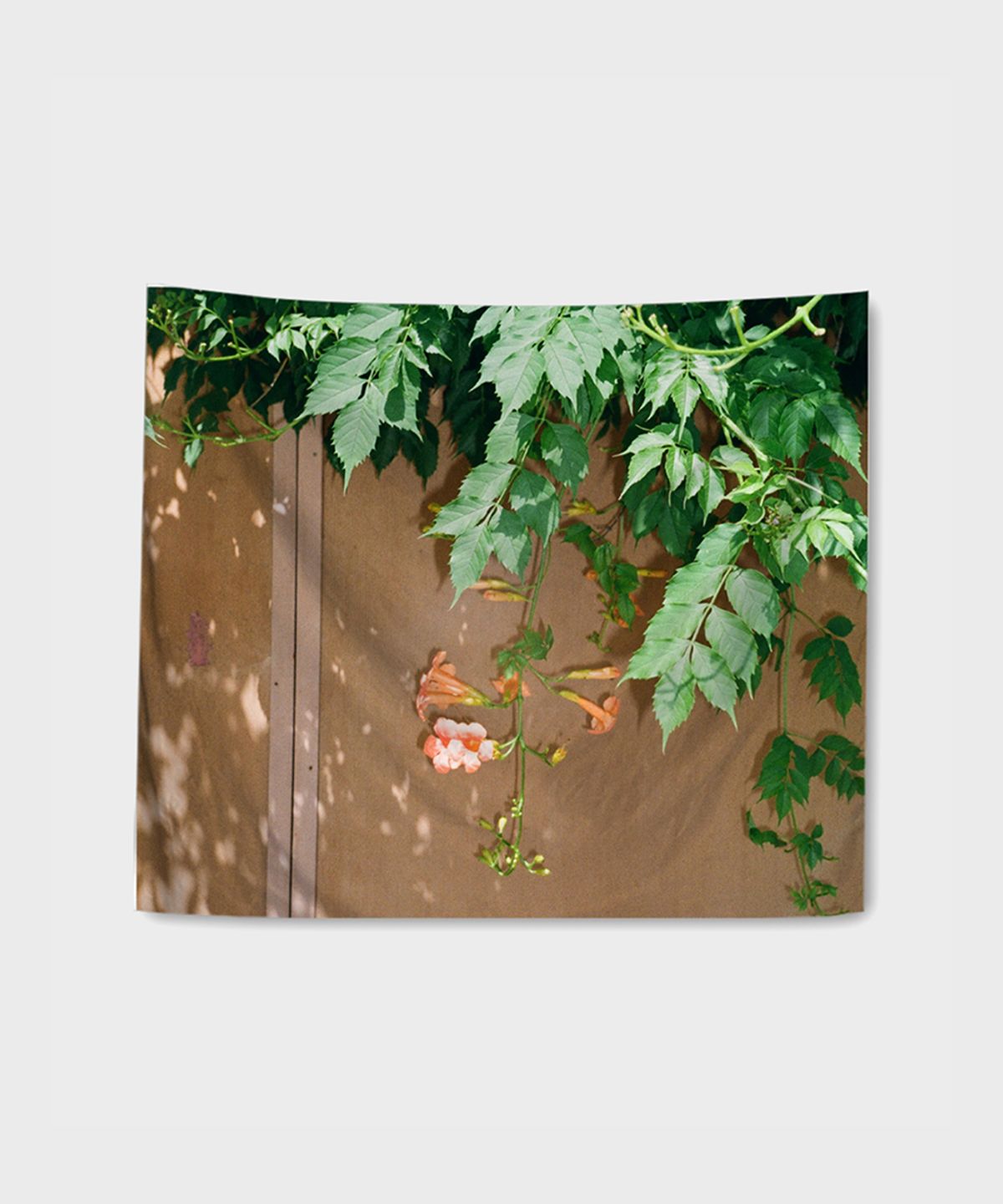 픽켄드(PICKEND) 포토 시리즈 가로형 패브릭포스터 - 12 A SUMMER FLOWER