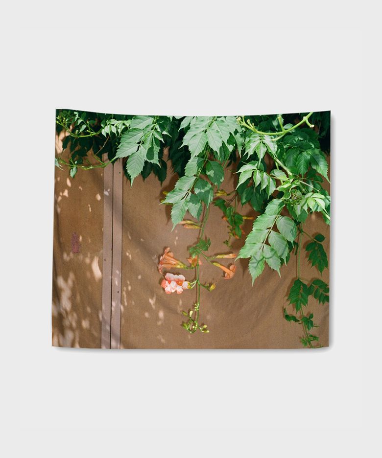 포토 시리즈 가로형 패브릭포스터 - 12 A SUMMER FLOWER