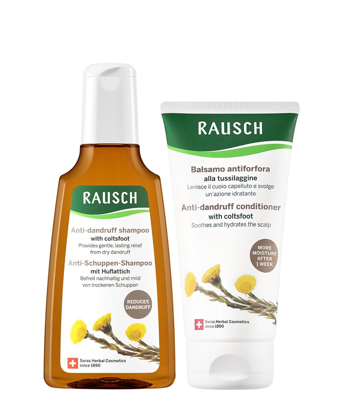 라우쉬(RAUSCH) 콜츠푸트 안티-댄드러프 샴푸 200ml + 컨디셔너 150ml 듀오