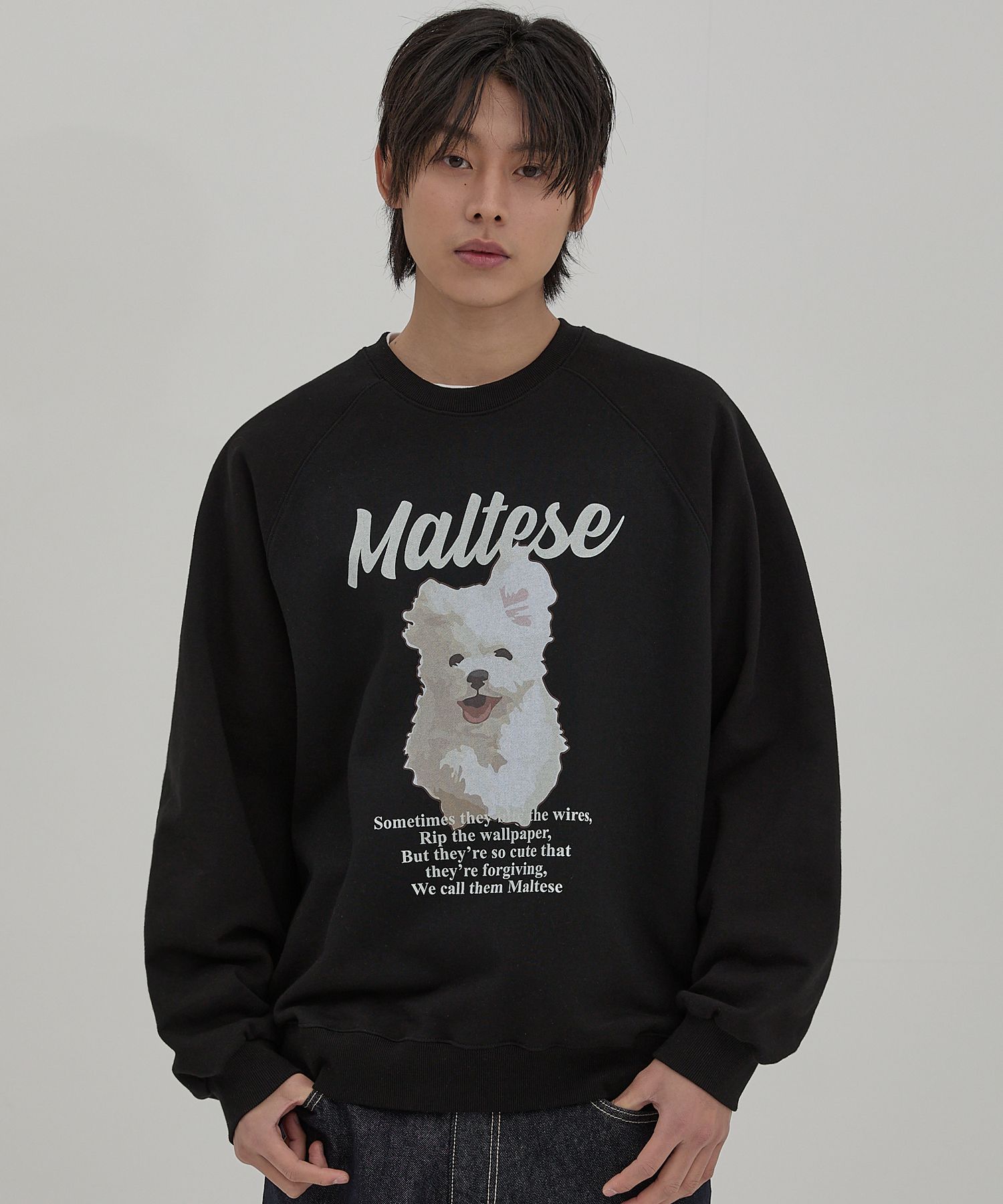 【Wai Kei】 Maltese Cloud Raglan Sweatshirt /追跡付 MUSINSA | WAI KEI Maltese Cloud Raglan Man to Man Black