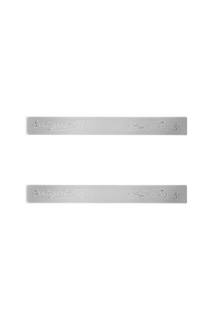 NO.565 [SILVER] HAIR PIN 2SET