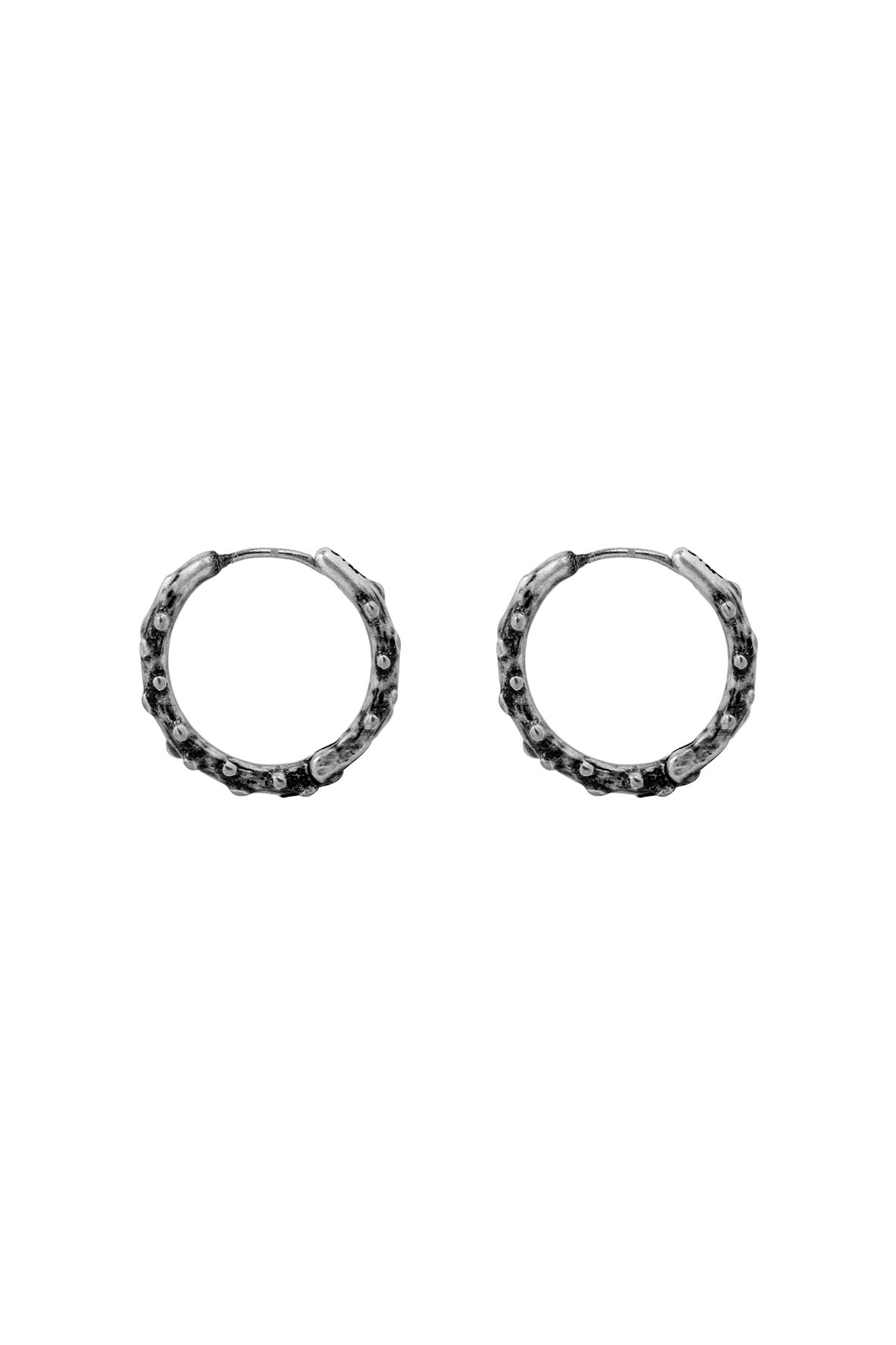 센티멍(SENTIMENTS) NO.614 [BURNISH] EARRING