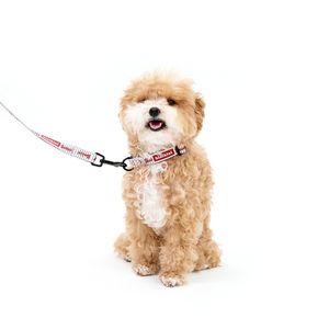 [키니키니XLG트윈스] AUTHENTIC COLLAR-STRIPE(목줄)