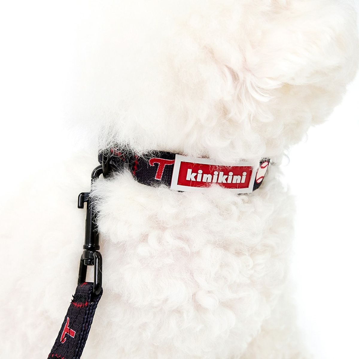 키니키니(KINIKINI) [키니키니XLG트윈스] AUTHENTIC COLLAR-BLACK(목줄)