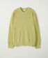 COTTON RIB KNIT CREWNECK - LIGHT LIME
