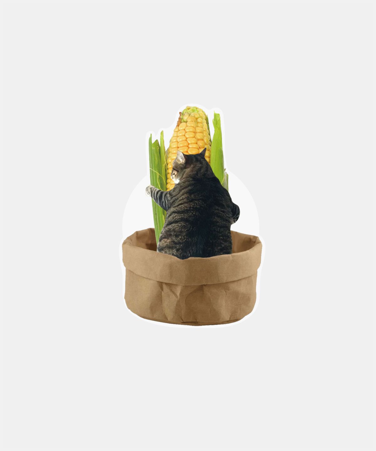소유템(SOUTEM) Supermarket cat Acrylic Tok