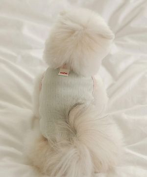 SSFW 쁘띠 앙팡 슬리브리스 - 민트