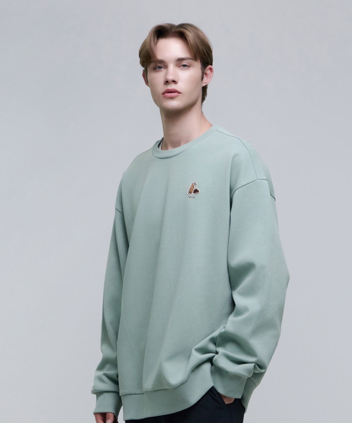 내셔널지오그래픽(NATIONALGEOGRAPHIC) N251USW940 동물 와펜 세미 오버핏 맨투맨 KHAKI GREEN