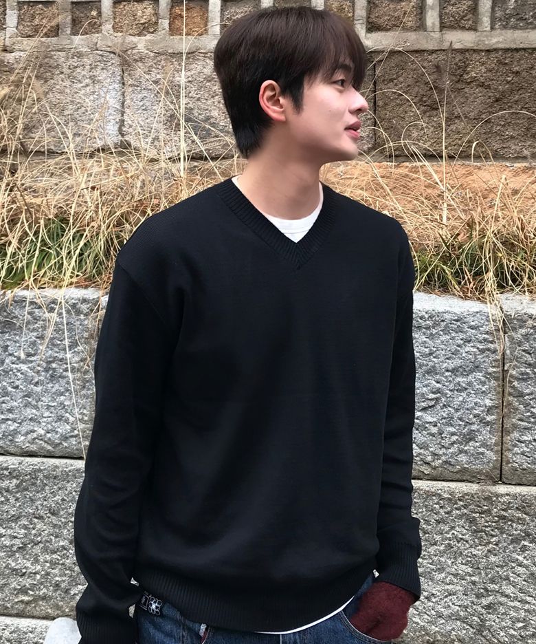 퓨어 코튼 브이넥 니트 [블랙]