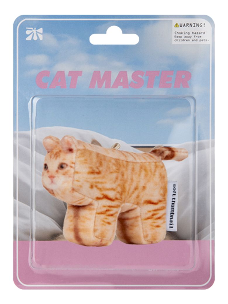 Cheese, Domestic Shorthair