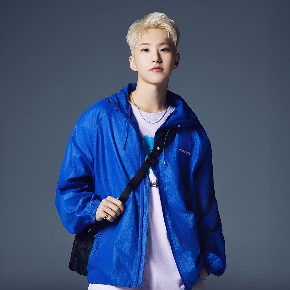 [ADLV] ADLV RAGLAN WINDBREAKER JACKET /追跡付 ADLV] ADLV RAGLAN WINDBREAKER JACKET /追跡付 (acme de la vie