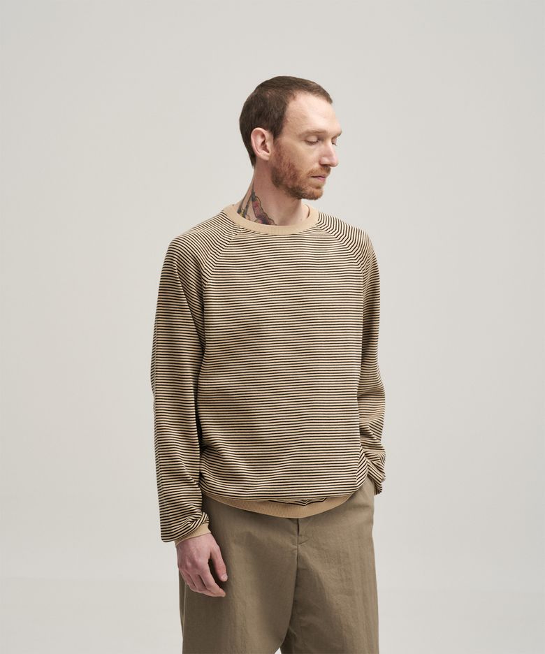 Narrow Stripe Knit Pullover (Beige Black - Stripe)