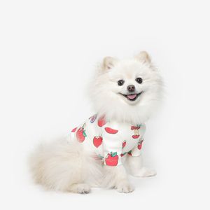 애플  강아지 티셔츠 강아지옷