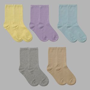 [5팩] 선택형 여성용 슬림 핏 롱 삭스 7컬러