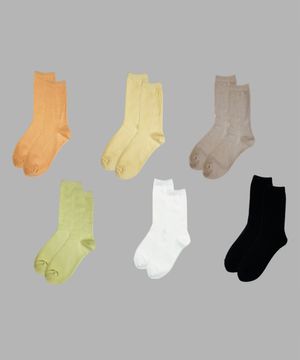 [5팩] 여성용 팔레트 롱 삭스 6컬러