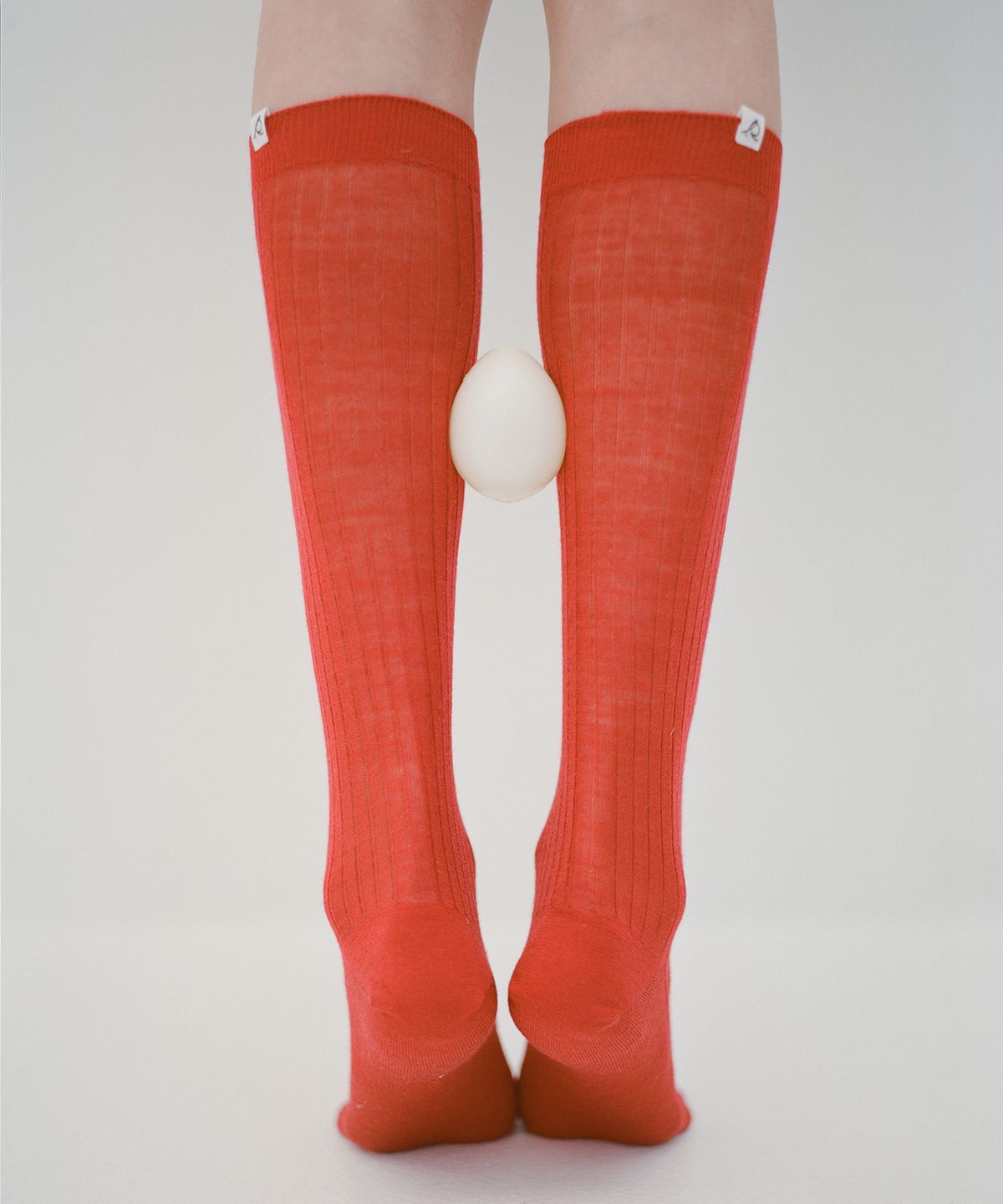 르바(LEVAR) [4PACK] Wool Tender High Socks - 6colors