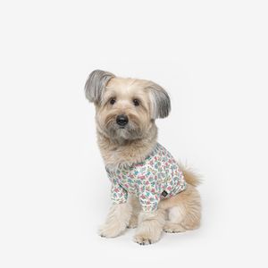 프릴 강아지 티셔츠