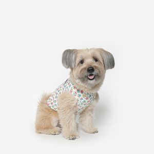 프릴 강아지 민소매 여름옷